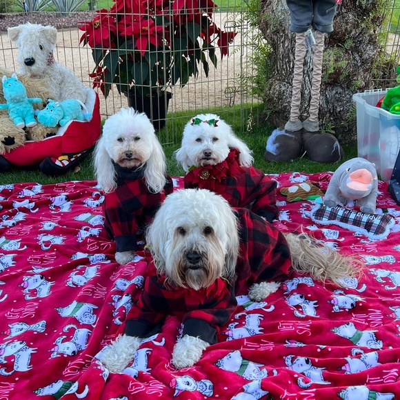 Pants 👖 Section of Bijou’s Closet ! - Picture 2 of 5